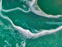 A photo taken on December 5, 2024, shows migrating birds at Qiandao Lake in Hohhot, Inner Mongolia, China. (