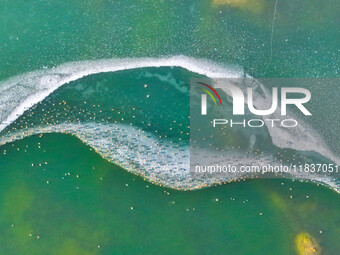 A photo taken on December 5, 2024, shows migrating birds at Qiandao Lake in Hohhot, Inner Mongolia, China. (