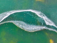 A photo taken on December 5, 2024, shows migrating birds at Qiandao Lake in Hohhot, Inner Mongolia, China. (