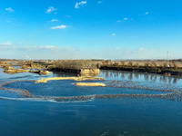 A photo taken on December 5, 2024, shows migrating birds at Qiandao Lake in Hohhot, Inner Mongolia, China. (