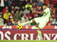 Lamine Yamal right winger of Barcelona and Spain during the La Liga match between RCD Mallorca and FC Barcelona at Estadi de Son Moix on Dec...