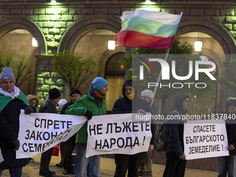 A protest takes place in front of the Council of Ministers of the Republic of Bulgaria in Sofia, Bulgaria, on December 5, 2024, against a ne...