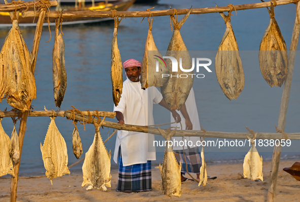 A fisherman demonstrates a traditional fish drying process during the 14th Katara Traditional Dhow Festival in Katara Cultural Village in Do...