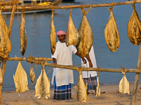 A fisherman demonstrates a traditional fish drying process during the 14th Katara Traditional Dhow Festival in Katara Cultural Village in Do...