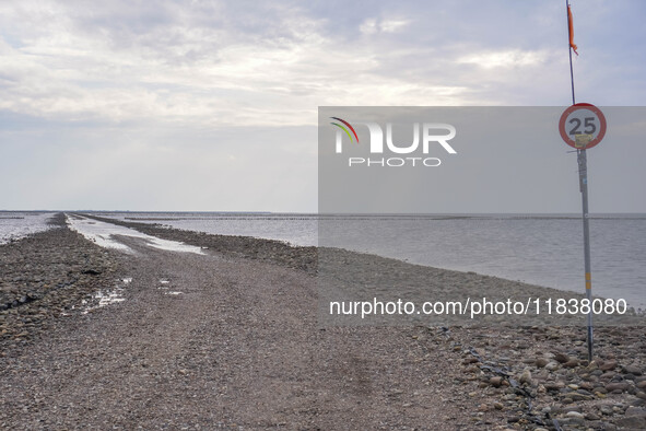 A gravel road by the Wadden Sea bottom connects Jutland and Mando Island. It opens only a few hours daily during low tide due to the high se...