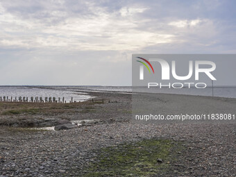 A gravel road by the Wadden Sea bottom connects Jutland and Mando Island. It opens only a few hours daily during low tide due to the high se...