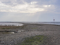 A gravel road by the Wadden Sea bottom connects Jutland and Mando Island. It opens only a few hours daily during low tide due to the high se...