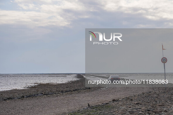 A gravel road by the Wadden Sea bottom connects Jutland and Mando Island. It opens only a few hours daily during low tide due to the high se...