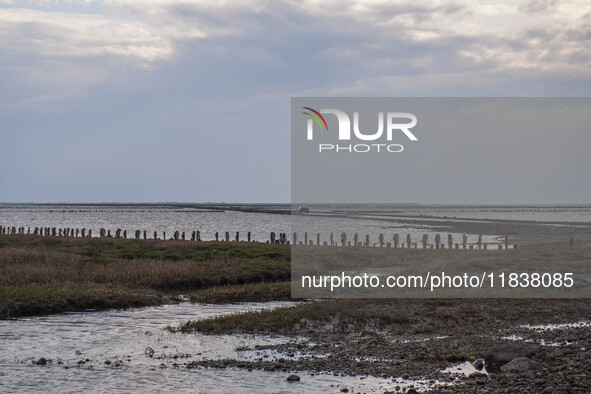 A gravel road by the Wadden Sea bottom connects Jutland and Mando Island. It opens only a few hours daily during low tide due to the high se...