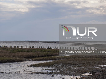 A gravel road by the Wadden Sea bottom connects Jutland and Mando Island. It opens only a few hours daily during low tide due to the high se...