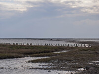 A gravel road by the Wadden Sea bottom connects Jutland and Mando Island. It opens only a few hours daily during low tide due to the high se...