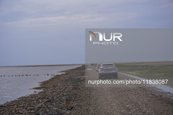 A gravel road by the Wadden Sea bottom connects Jutland and Mando Island. It opens only a few hours daily during low tide due to the high se...