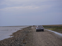 A gravel road by the Wadden Sea bottom connects Jutland and Mando Island. It opens only a few hours daily during low tide due to the high se...