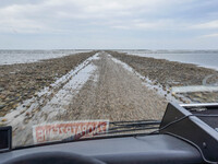 A gravel road by the Wadden Sea bottom connects Jutland and Mando Island. It opens only a few hours daily during low tide due to the high se...