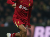 Trent Alexander-Arnold of Liverpool plays during the Premier League match between Newcastle United and Liverpool at St. James's Park in Newc...