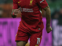 Mohamed Salah of Liverpool plays during the Premier League match between Newcastle United and Liverpool at St. James's Park in Newcastle, Un...