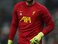 Liverpool goalkeeper Vitezslav Jaros participates in the Premier League match between Newcastle United and Liverpool at St. James's Park in...