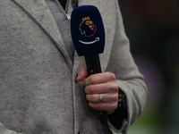 Shay Given holds a Prime Video microphone during the Premier League match between Newcastle United and Liverpool at St. James's Park in Newc...