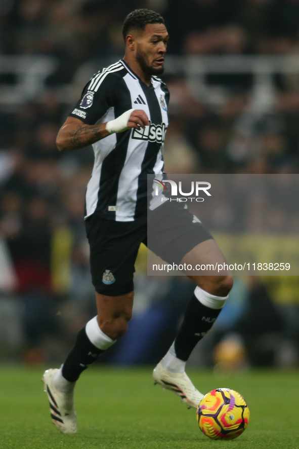 Joelinton of Newcastle United participates in the Premier League match between Newcastle United and Liverpool at St. James's Park in Newcast...