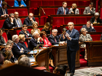 Francois-Noel Buffet, Minister attached to the Prime Minister responsible for Overseas France, speaks during the questions to the government...