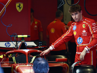 Arthur Leclerc ahead of the Formula 1 Abu Dhabi Grand Prix at Yas Marina Circuit in Abu Dhabi, United Arab Emirates on December 5, 2024. (