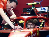 Arthur Leclerc ahead of the Formula 1 Abu Dhabi Grand Prix at Yas Marina Circuit in Abu Dhabi, United Arab Emirates on December 5, 2024. (