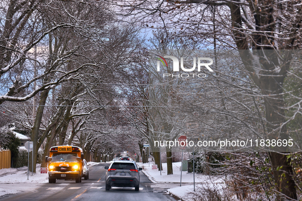 Snow covers tree branches following the first snowfall of the season in Toronto, Ontario, Canada, on December 5, 2024. 