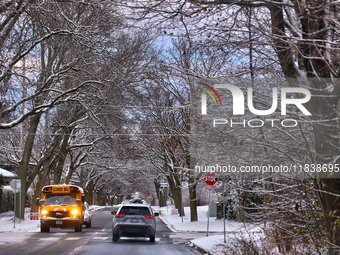 Snow covers tree branches following the first snowfall of the season in Toronto, Ontario, Canada, on December 5, 2024. (