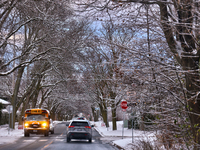 Snow covers tree branches following the first snowfall of the season in Toronto, Ontario, Canada, on December 5, 2024. (