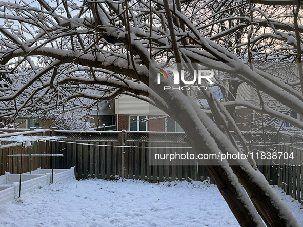 Snow is visible following the first snowfall of the season in Toronto, Ontario, Canada, on December 5, 2024. 