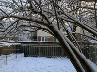 Snow is visible following the first snowfall of the season in Toronto, Ontario, Canada, on December 5, 2024. (