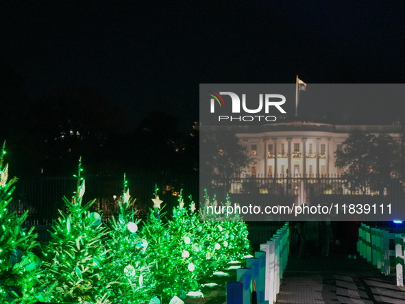 President Biden switches on the National Christmas Tree in subfreezing weather in Washington, D.C., United States, on December 5, 2024. Sing...