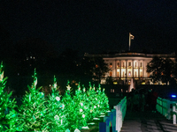 President Biden switches on the National Christmas Tree in subfreezing weather in Washington, D.C., United States, on December 5, 2024. Sing...