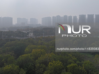 High-rise buildings loom amid heavy fog in Nanjing, Jiangsu province, China, on December 6, 2024. (