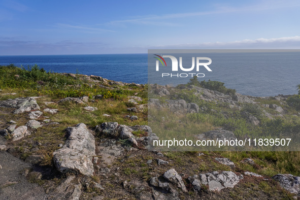 A high rocky cliff on the Baltic Sea coast near Hammershus Castle is seen on Bornholm Island, Denmark, on August 5, 2024. 