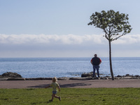 A man looks at the sea on the Baltic Sea coast in Gudhjem, Bornholm Island, Denmark, on August 6, 2024. (