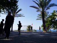 People hide in the shade of palm trees on a Mediterranean Sea coast in Alanya, Turkey, on November 5, 2024 (