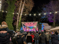 The historic center of Abensberg, Bavaria, Germany, on December 5, 2024, becomes a festive destination during the Christmas season. The trad...