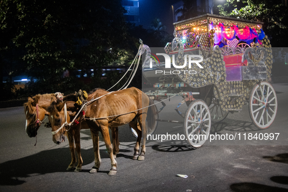 A horse cart waits by the roadside for city dwellers looking to roam around the city during a public holiday in Dhaka, Bangladesh, on Decemb...