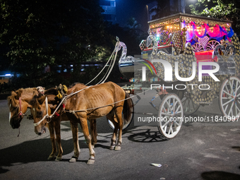 A horse cart waits by the roadside for city dwellers looking to roam around the city during a public holiday in Dhaka, Bangladesh, on Decemb...