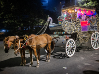 A horse cart waits by the roadside for city dwellers looking to roam around the city during a public holiday in Dhaka, Bangladesh, on Decemb...