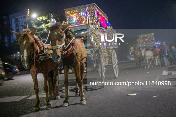 Horse carts wait by the roadside for city dwellers to take leisurely rides during a public holiday in Dhaka, Bangladesh, on December 6, 2024...