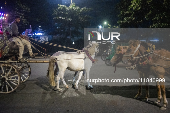 City dwellers ride on a horse cart during a public holiday in Dhaka, Bangladesh, on December 6, 2024. Horse cart rides, a nostalgic mode of...