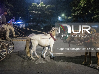 City dwellers ride on a horse cart during a public holiday in Dhaka, Bangladesh, on December 6, 2024. Horse cart rides, a nostalgic mode of...