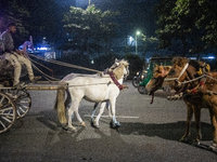 City dwellers ride on a horse cart during a public holiday in Dhaka, Bangladesh, on December 6, 2024. Horse cart rides, a nostalgic mode of...