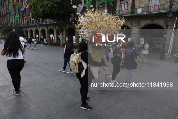 A person carries Christmas decorations on the streets of the Zocalo in Mexico City, Mexico, on December 6, 2024. 