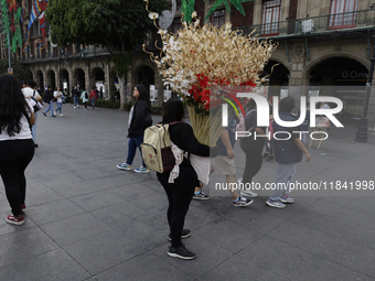 A person carries Christmas decorations on the streets of the Zocalo in Mexico City, Mexico, on December 6, 2024. (