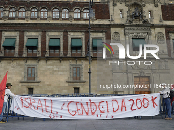 Palestinian activists and supporters demonstrate against the genocide in Gaza in the Zocalo of Mexico City, Mexico, on December 6, 2024, to...