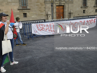 Palestinian activists and supporters demonstrate against the genocide in Gaza in the Zocalo of Mexico City, Mexico, on December 6, 2024, to...