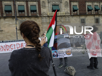 Palestinian activists and supporters demonstrate against the genocide in Gaza in the Zocalo of Mexico City, Mexico, on December 6, 2024, to...